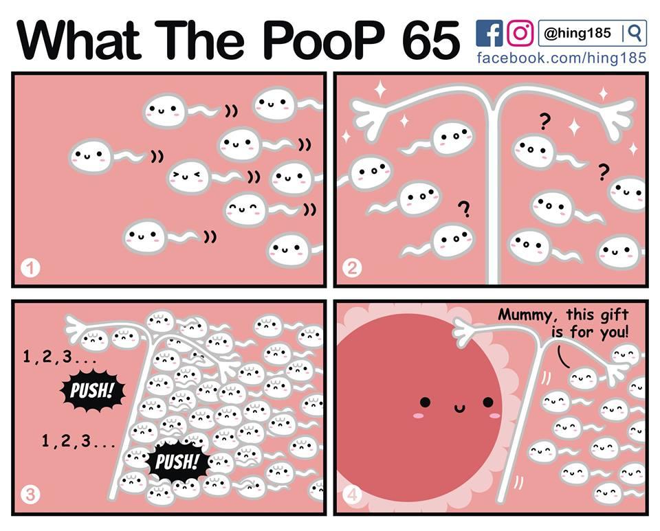 What the PooP 132