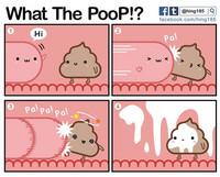 What the PooP 1