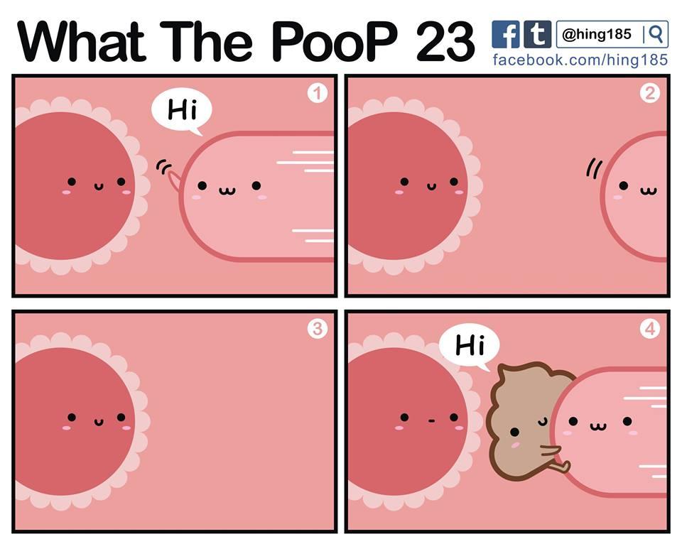 What the PooP 45