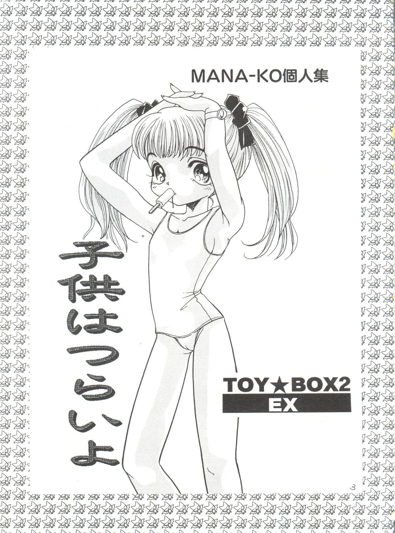 Toy Box 2 EX 1