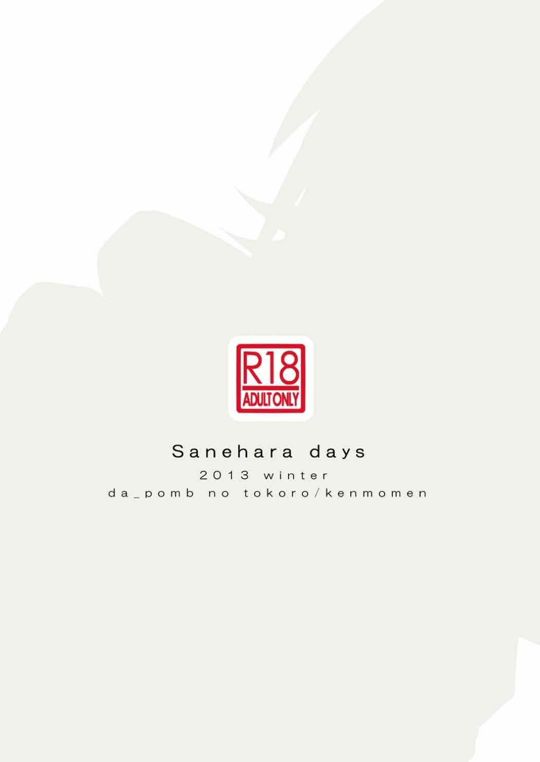 Sanehara Days 29