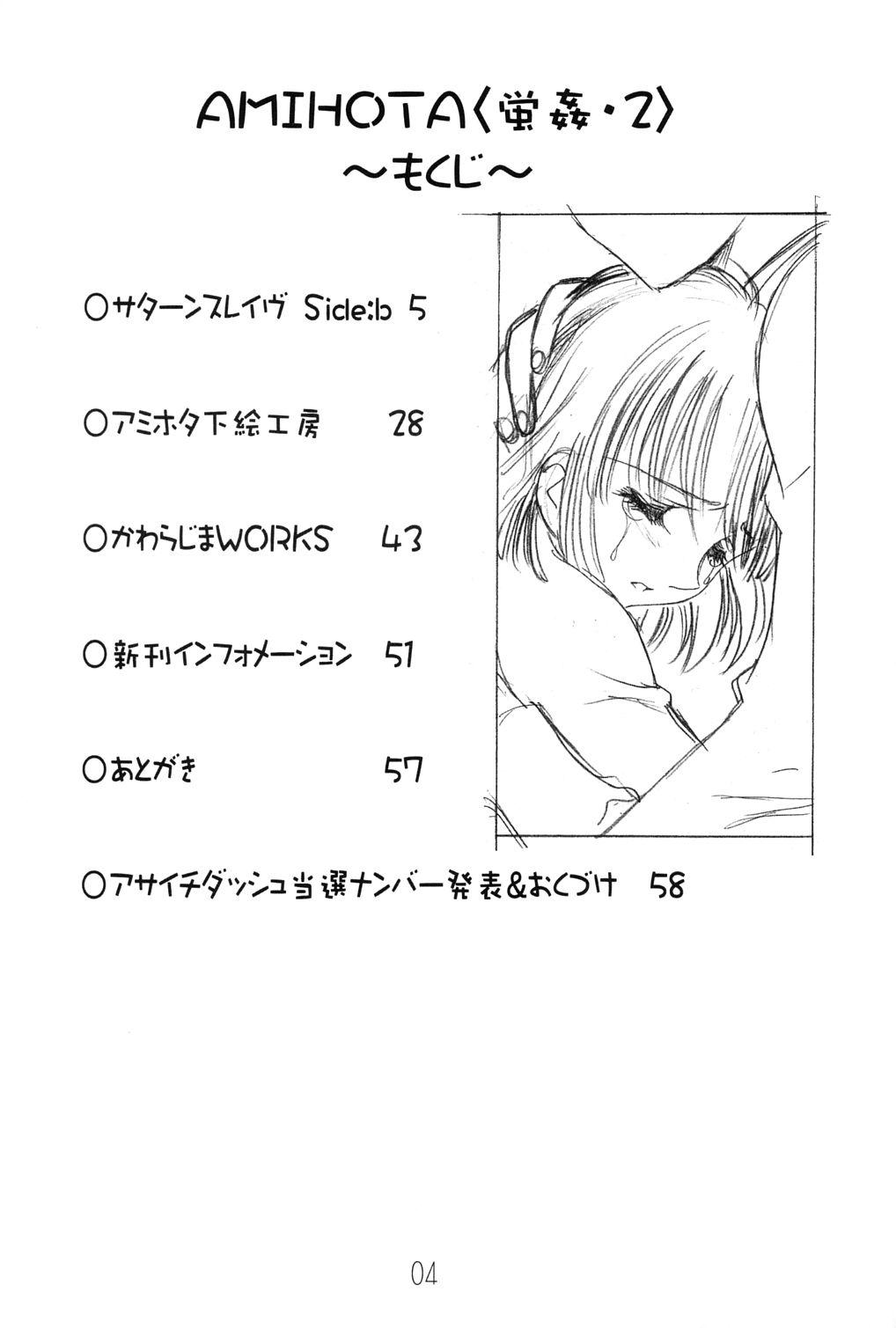 Nice Ass Amihota!! Side:b - Sailor moon Flagra - Page 3