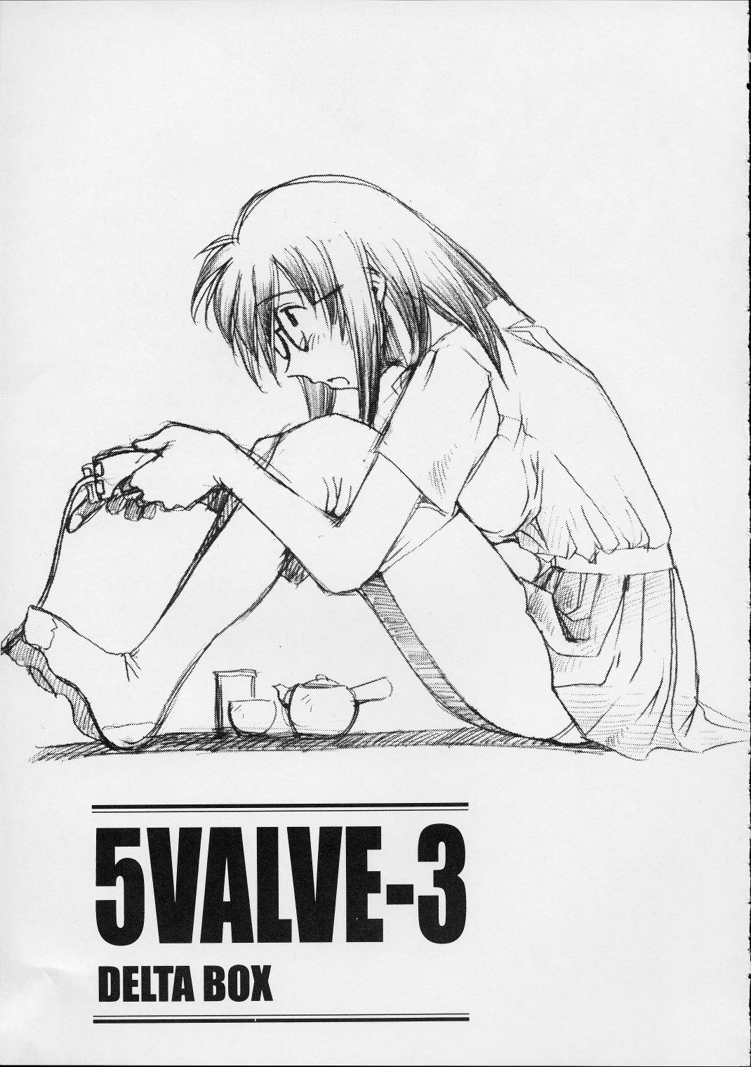 5VALVE-3 1