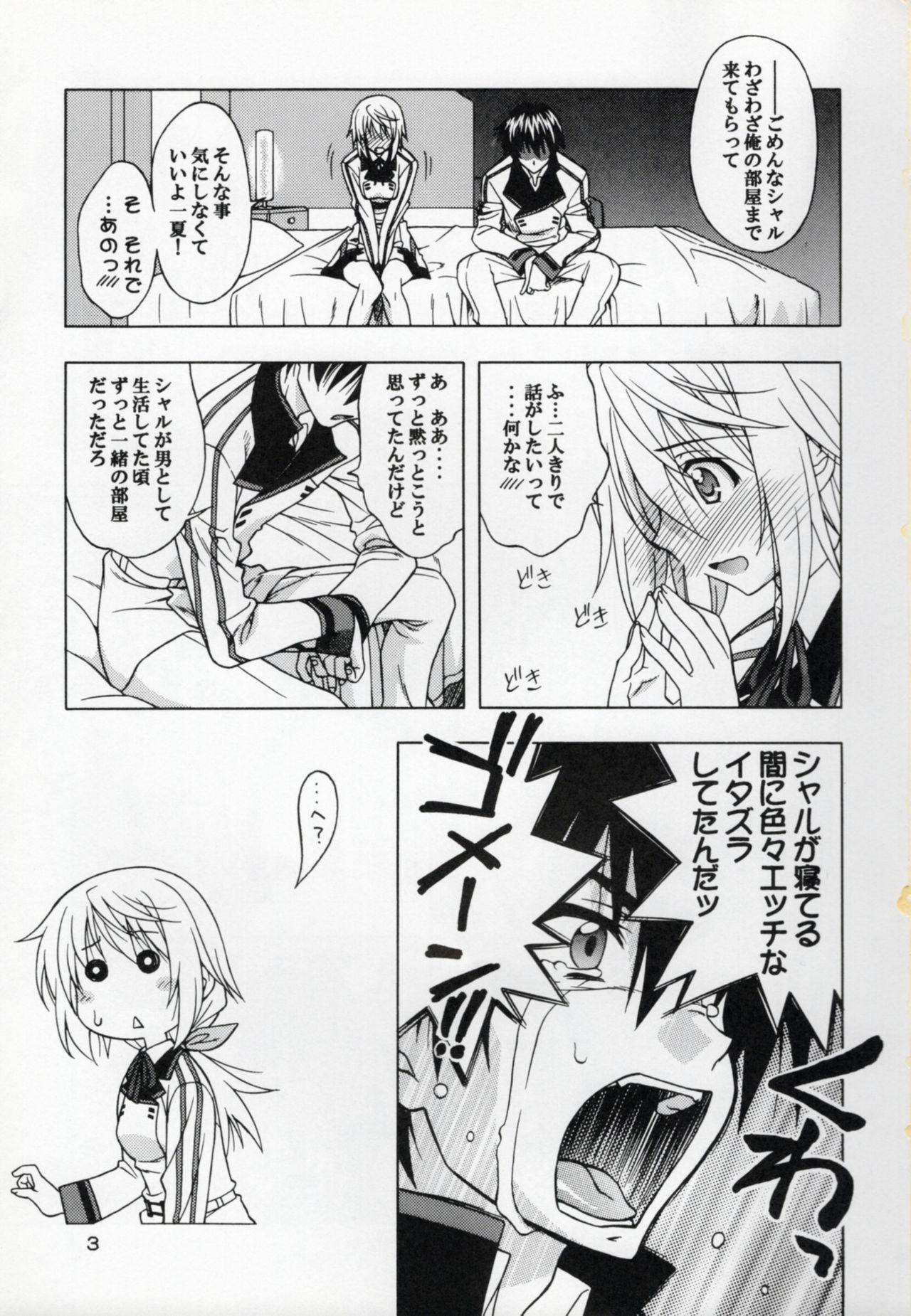 Cruising I.S.C - Infinite stratos Doggystyle - Page 2