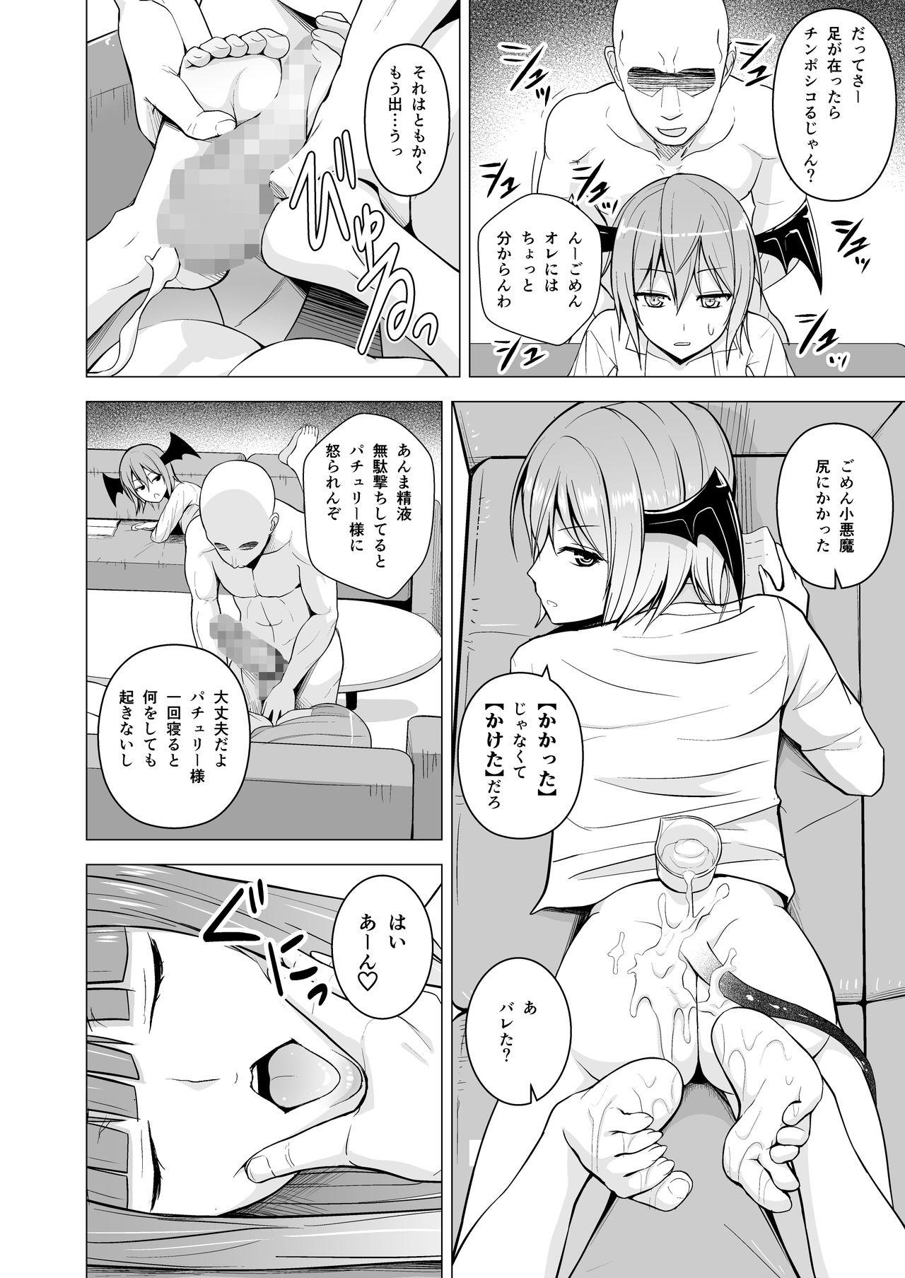 Bigdick Gojiyuu ni Otsukai Kudasai. - Touhou project Flashing - Page 12