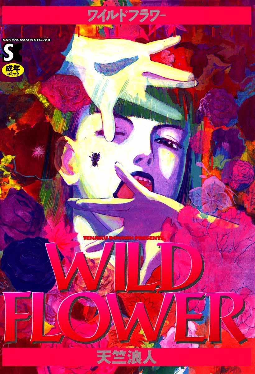 WILD FLOWER 0