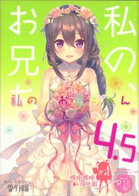 Watashi no, Onii-chan 4.5 Bangaihen 1