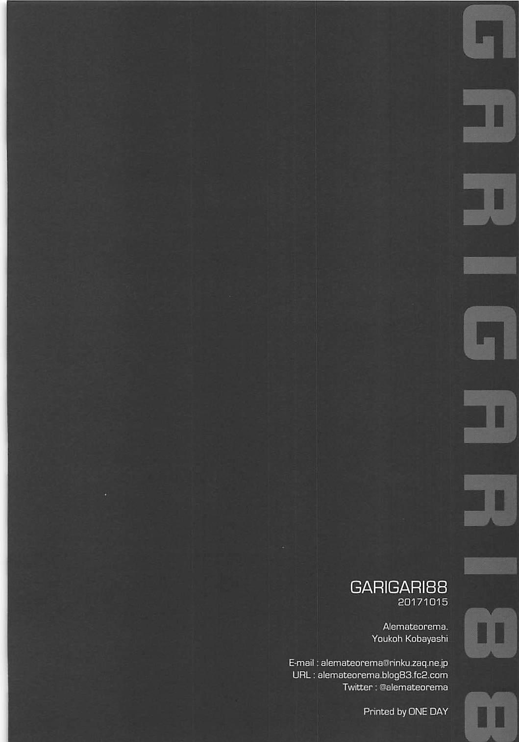 GARIGARI88 17