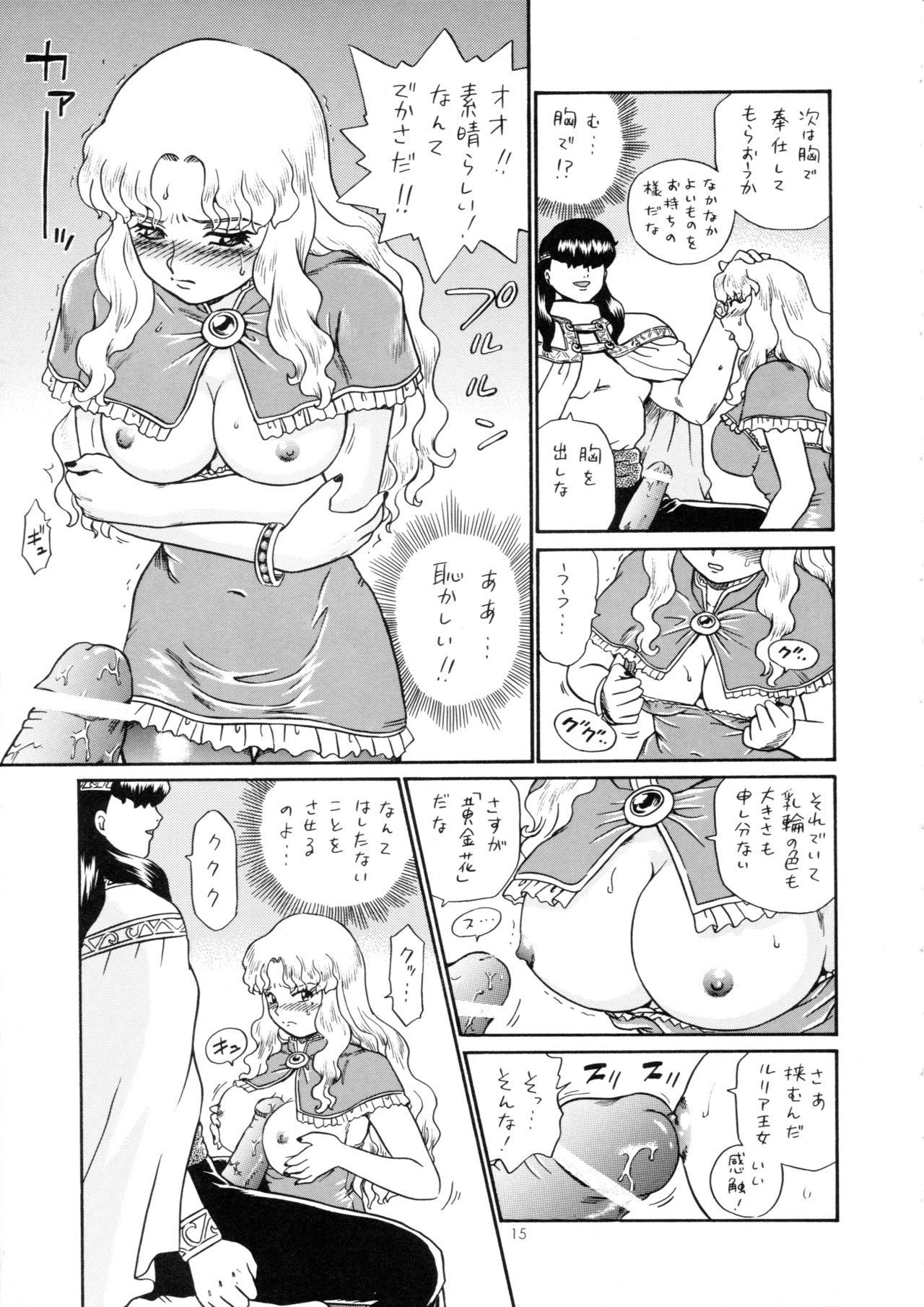 Princess Harem 14