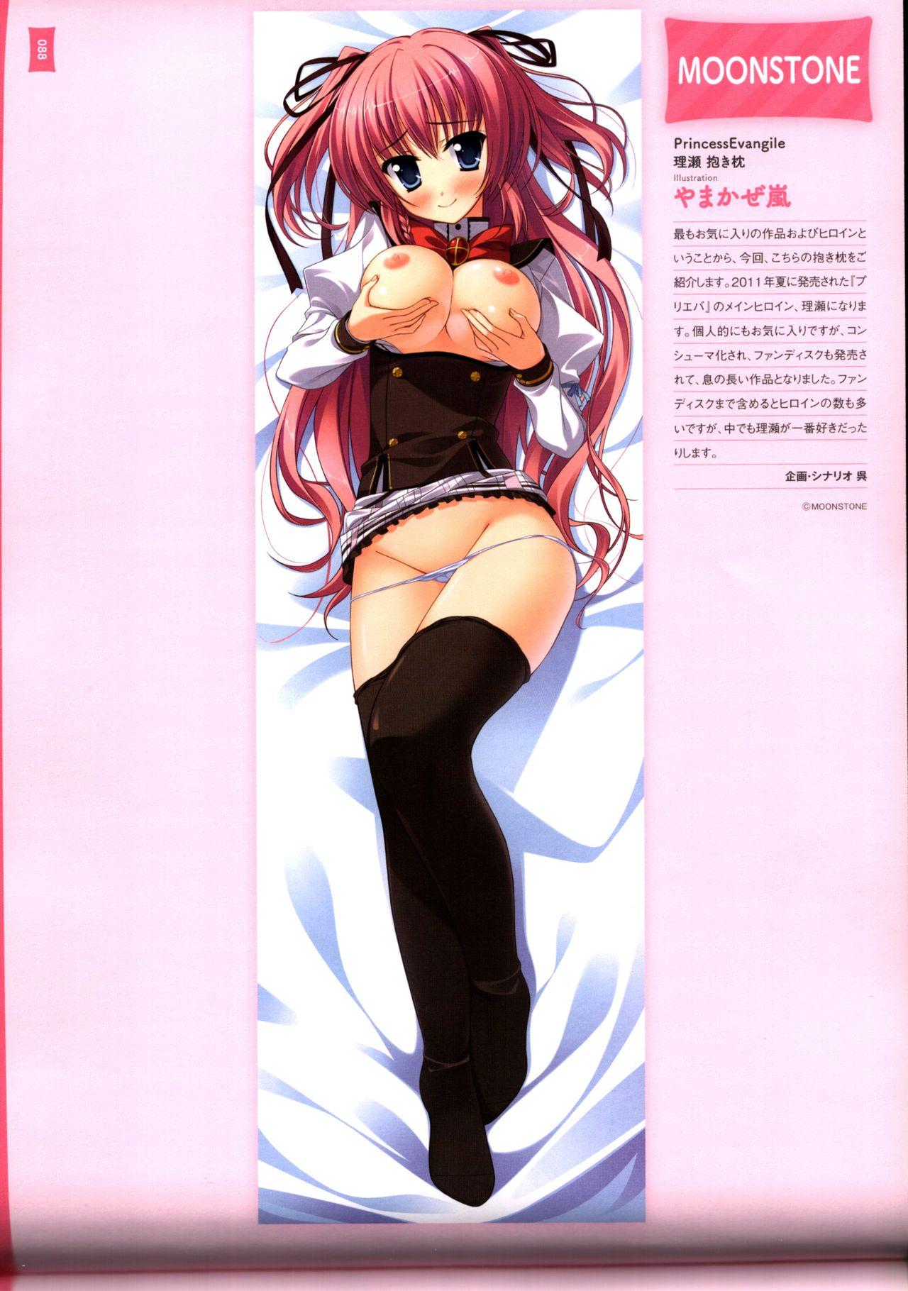 Dakimakura Cover Gashuu Bishoujo Game Hen 91