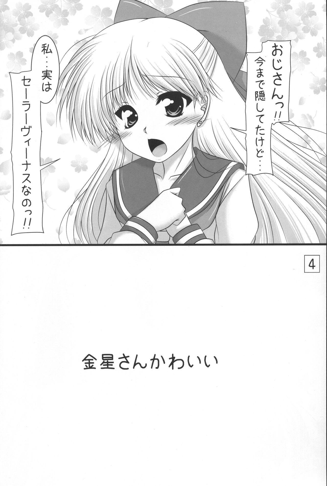 Hardcorend Kiniro Star Light - Sailor moon Old And Young - Page 3