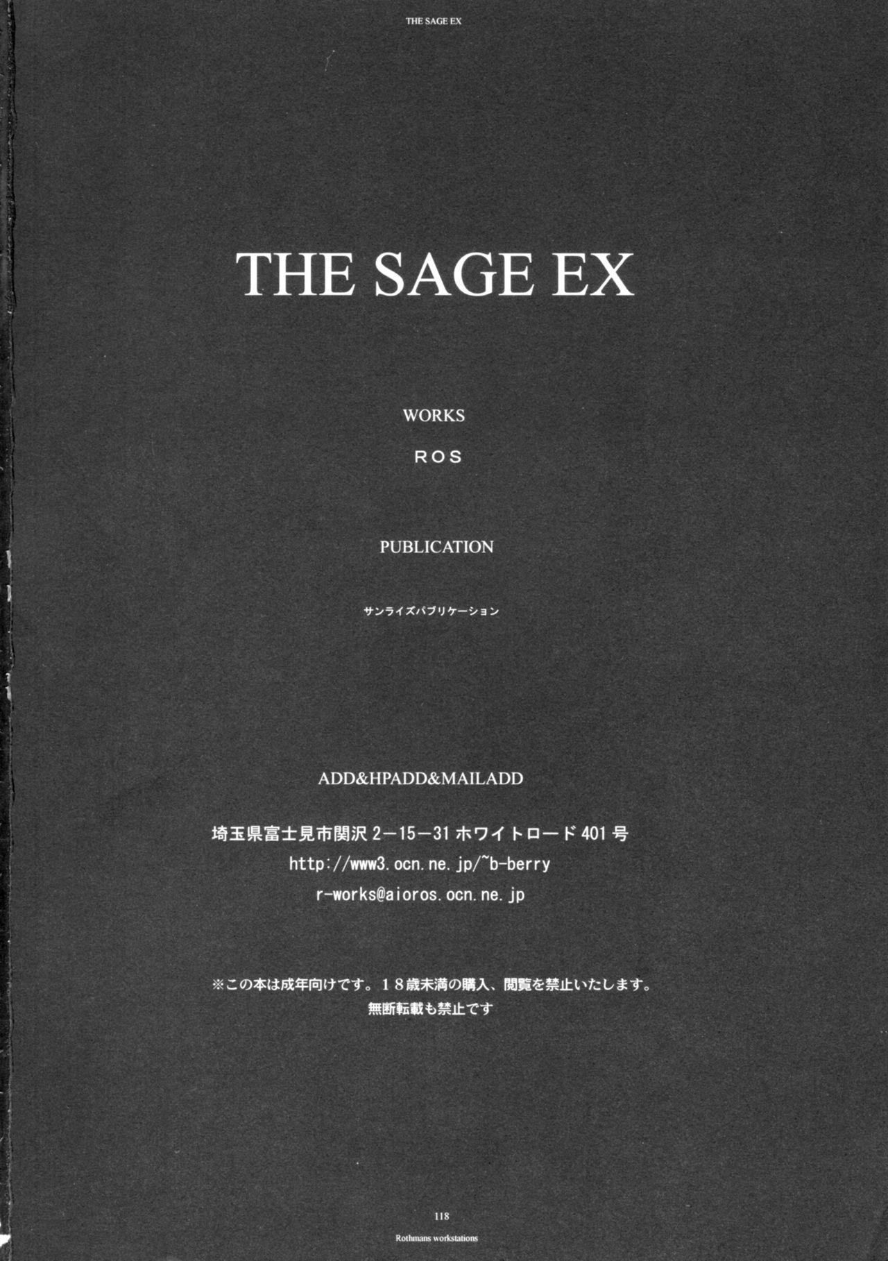 The SAGE ex Yoru Nuki Rider-san 116