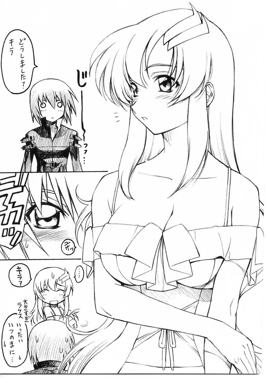 Sensual TimTim Machine 14 Gou - Gundam seed destiny Sucking Dicks - Page 4