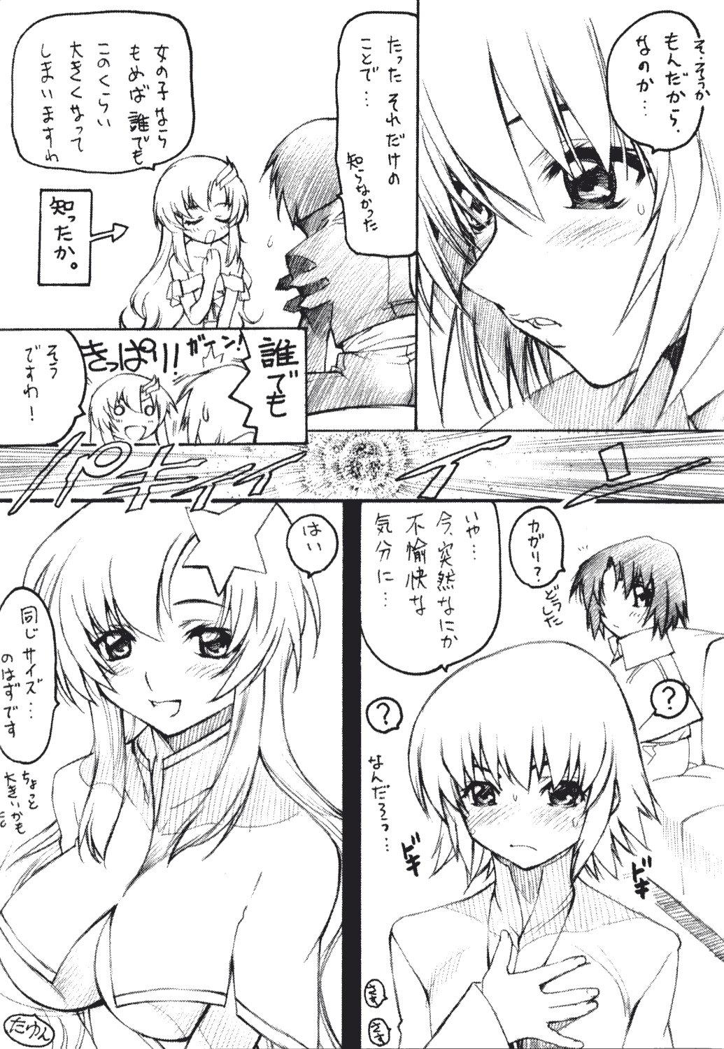 Soles TimTim Machine 14 Gou - Gundam seed destiny Africa - Page 7