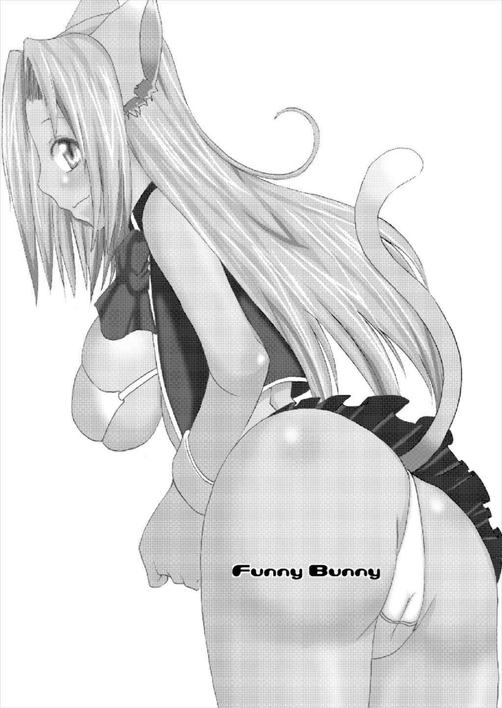 Funny Bunny 2