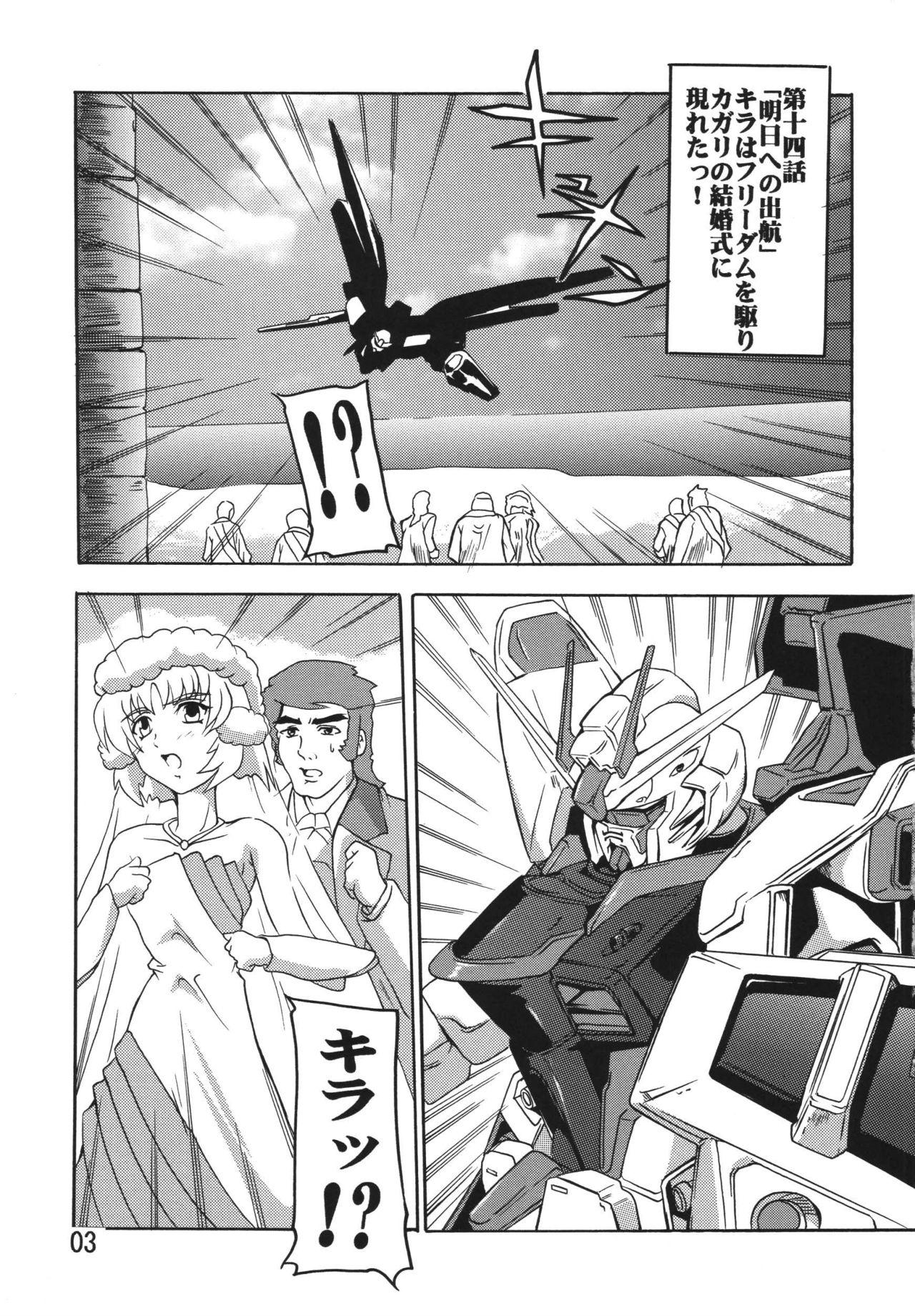 Ass Cagalli Destiny - Gundam seed destiny Blowjob - Page 3