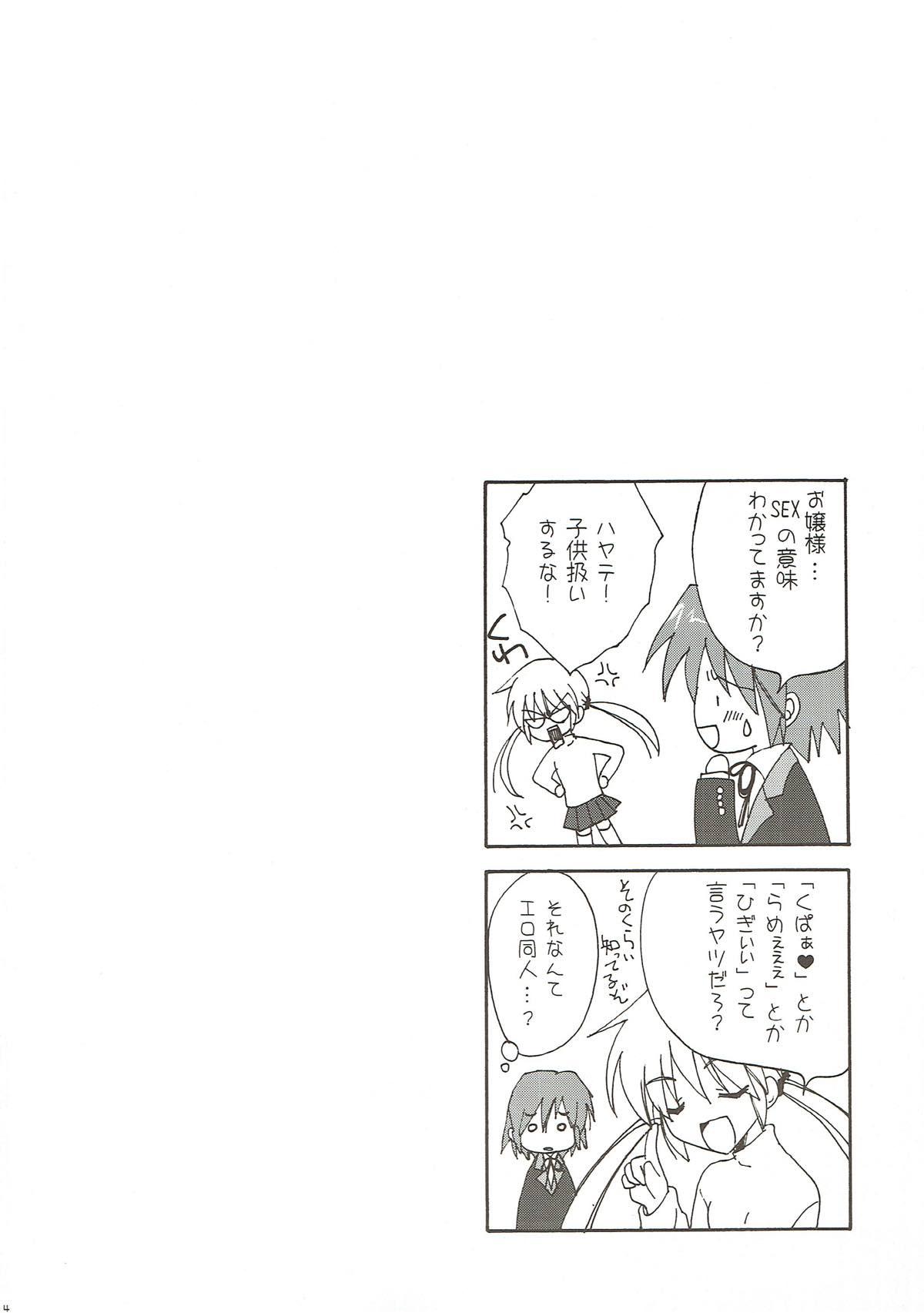 Amateur Teen Ojou-sama no Onozomi Doori - Hayate no gotoku Gay Friend - Page 3