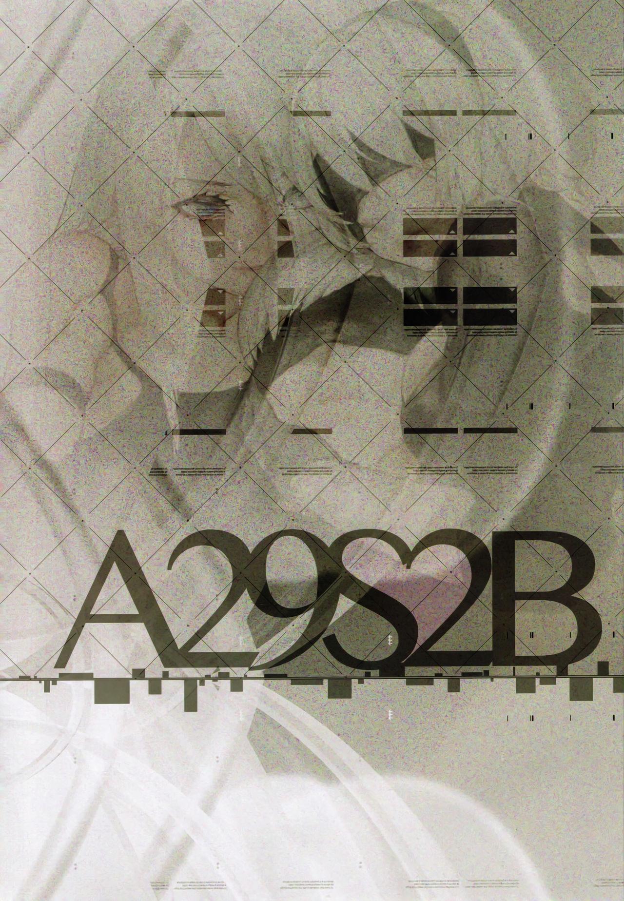 A29S2B 1