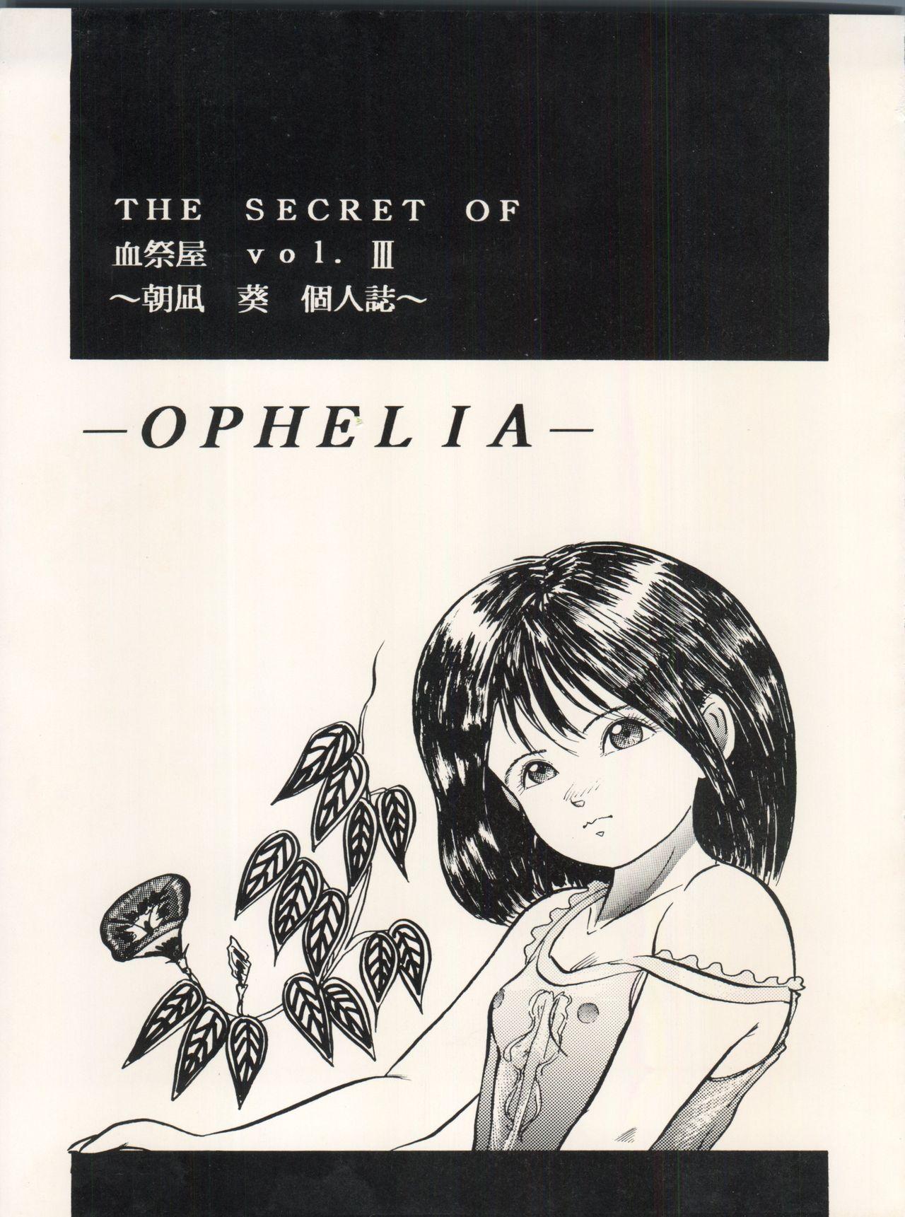 The Secret of Chimatsuriya Vol. III 2