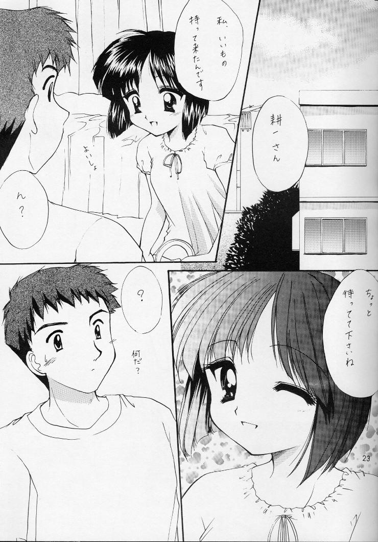 Shiawase No Katachi 21