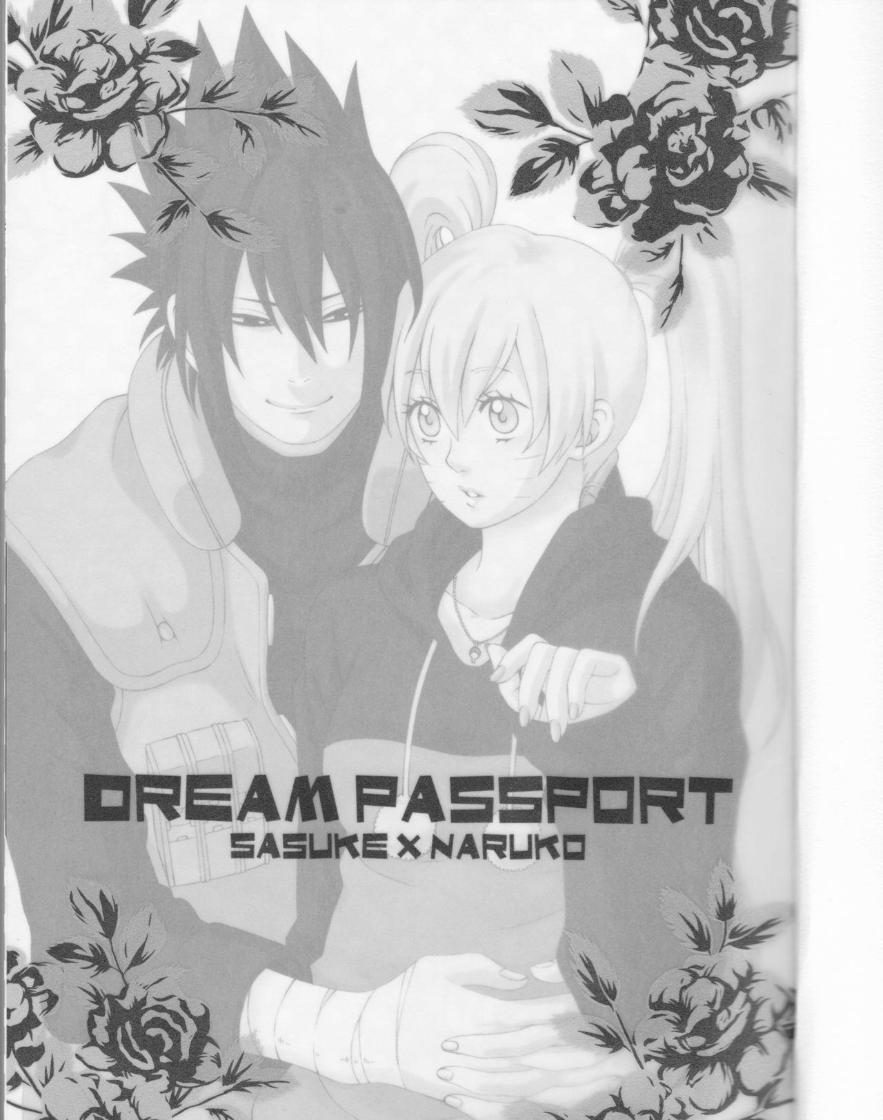Dream Passport 1