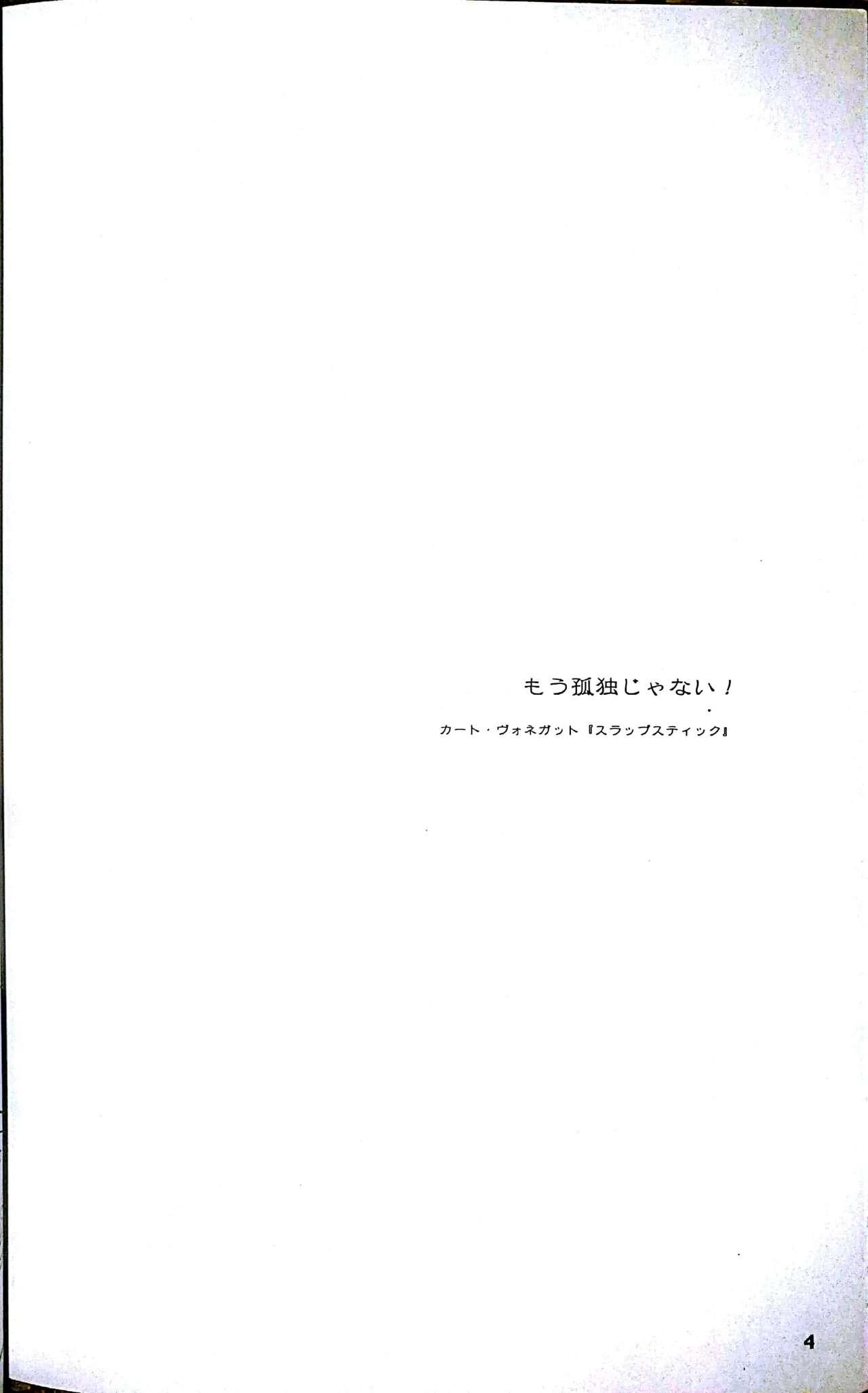 Hymen FIDDLE - Yokohama kaidashi kikou Coed - Page 3