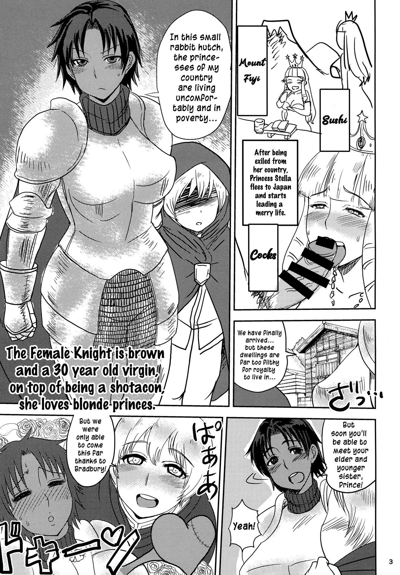 The Female Knight is brown and a 30 year old virgin, and on top of being a shotacon, she loves blonde princes. 4