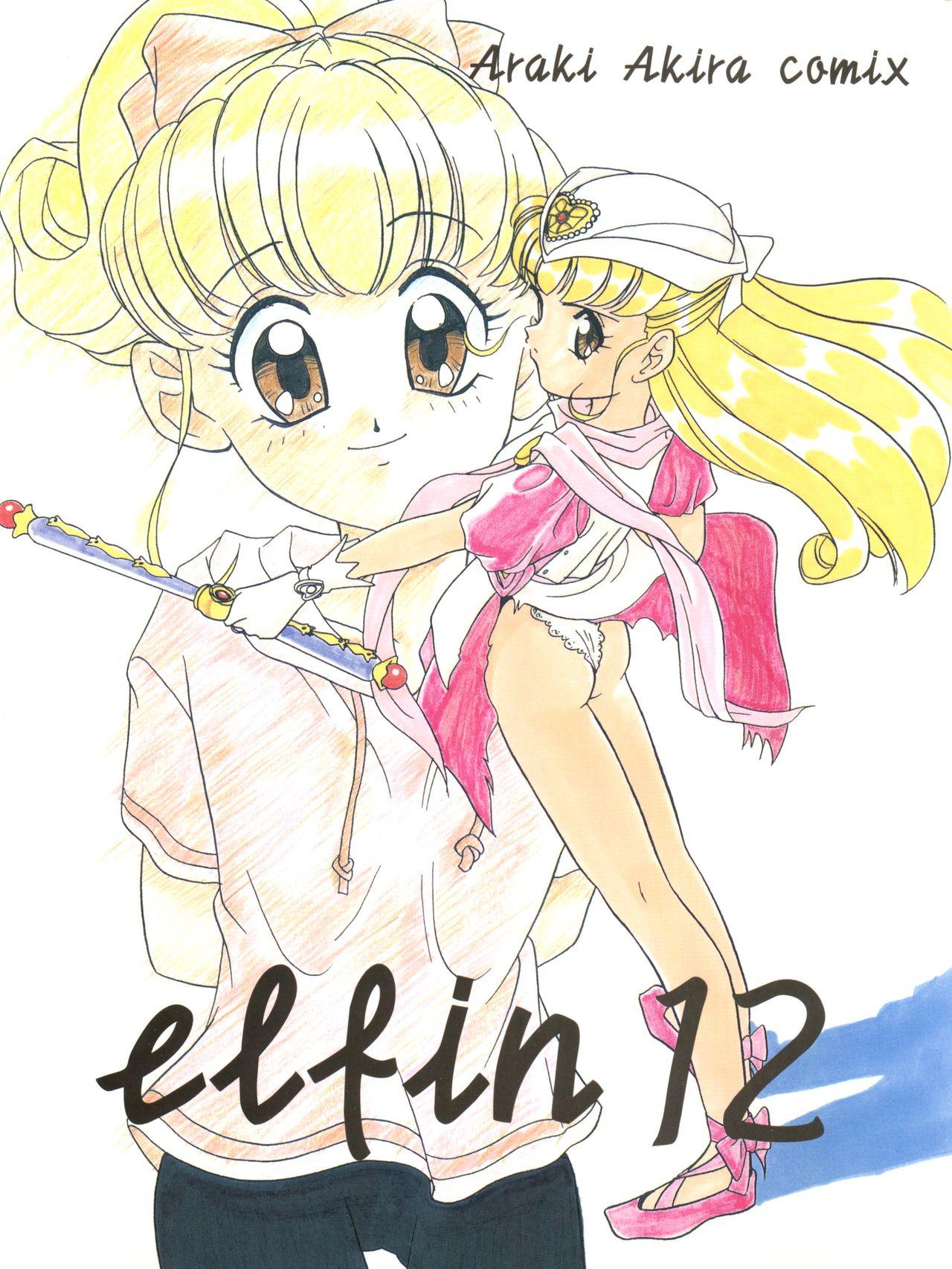 Elfin 12 0