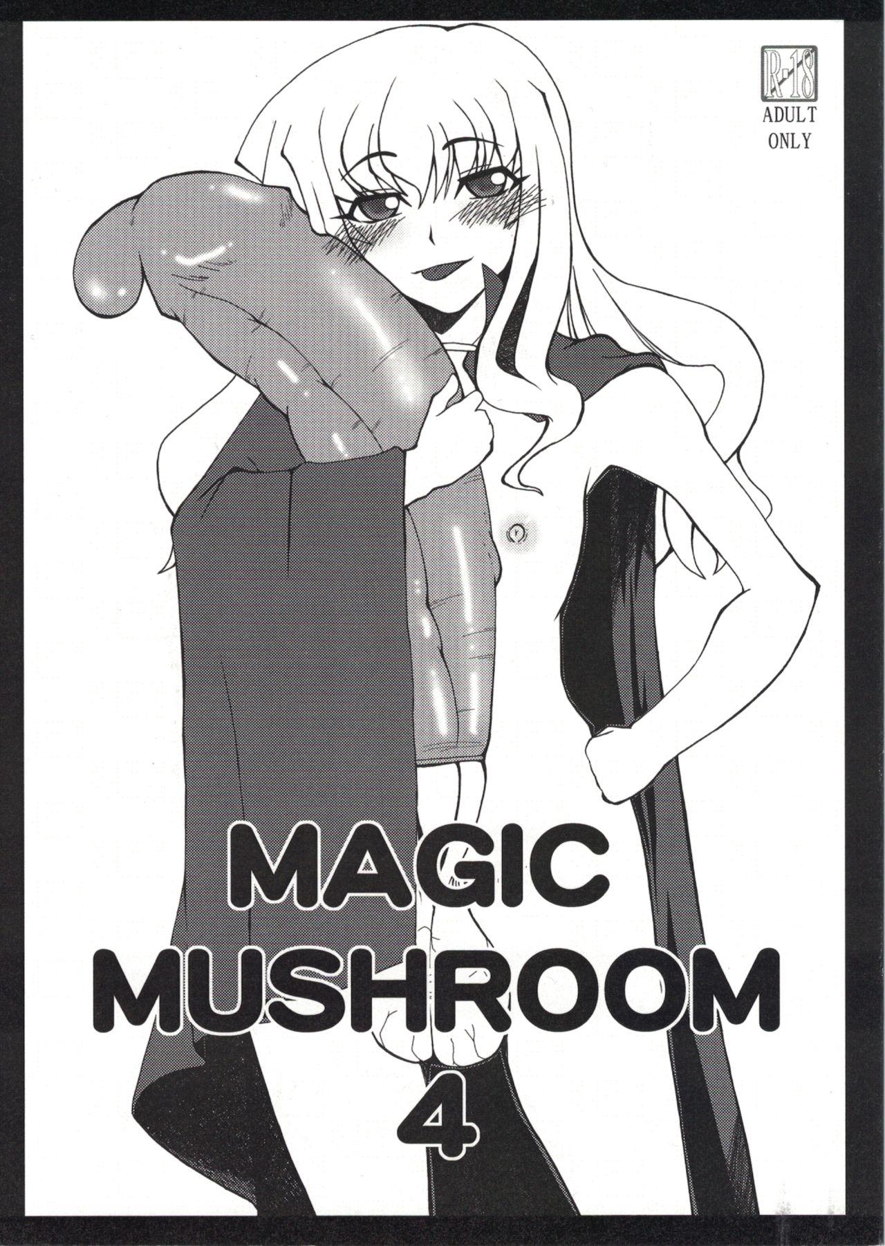 MAGIC MUSHROOM 4 1