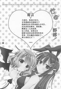 Farting Seishun Buta Yarou!- Seishun buta yarou wa bunny girl senpai no yume o minai hentai Rubia 6