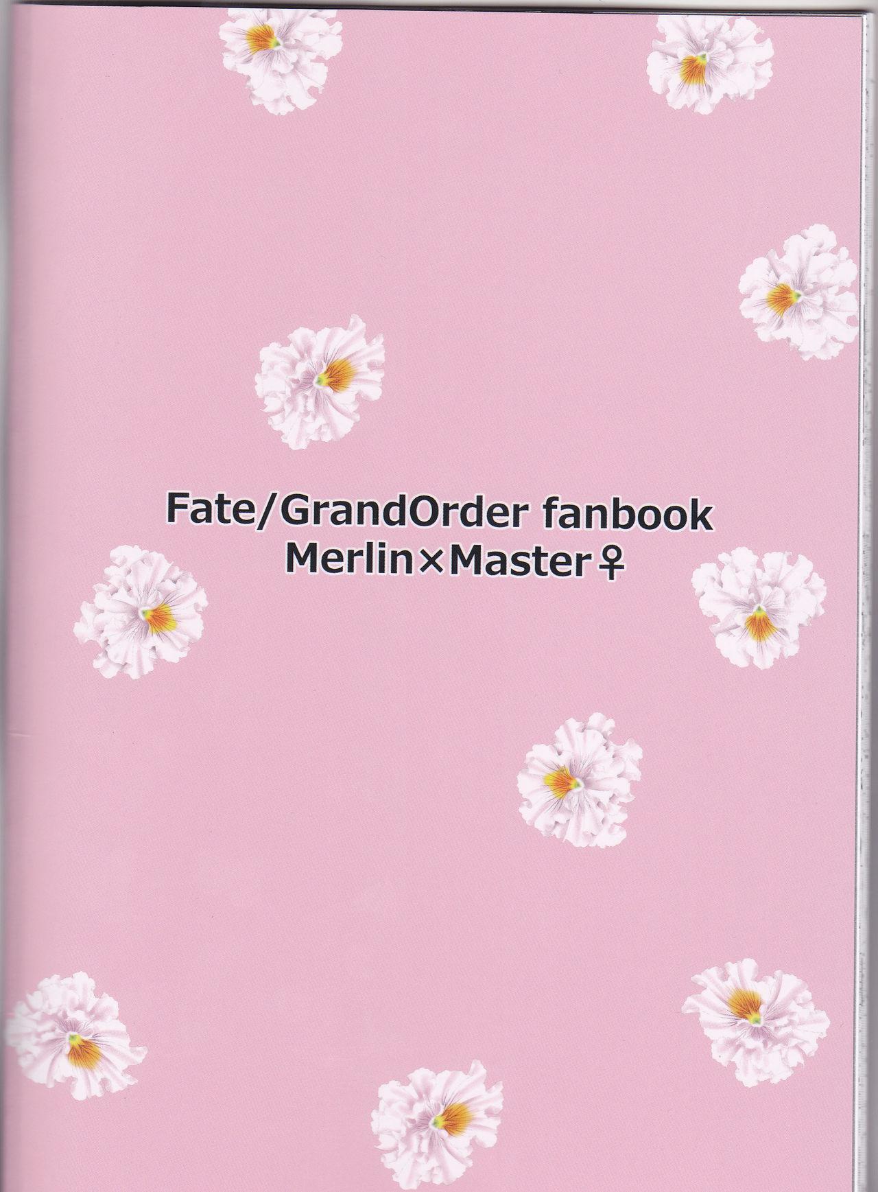Pack Master wa Attakai no ga Suki - Fate grand order Gostosa - Page 30