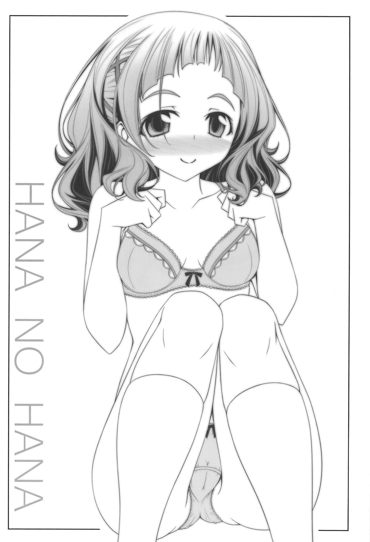Hana no Hana 2