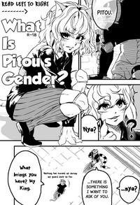 IndianSexHD 피트의 성별은? | What Is Pitou's Gender? Hunter X Hunter Dominicana 1