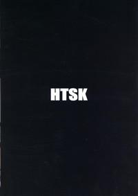 HTSK9.5 2