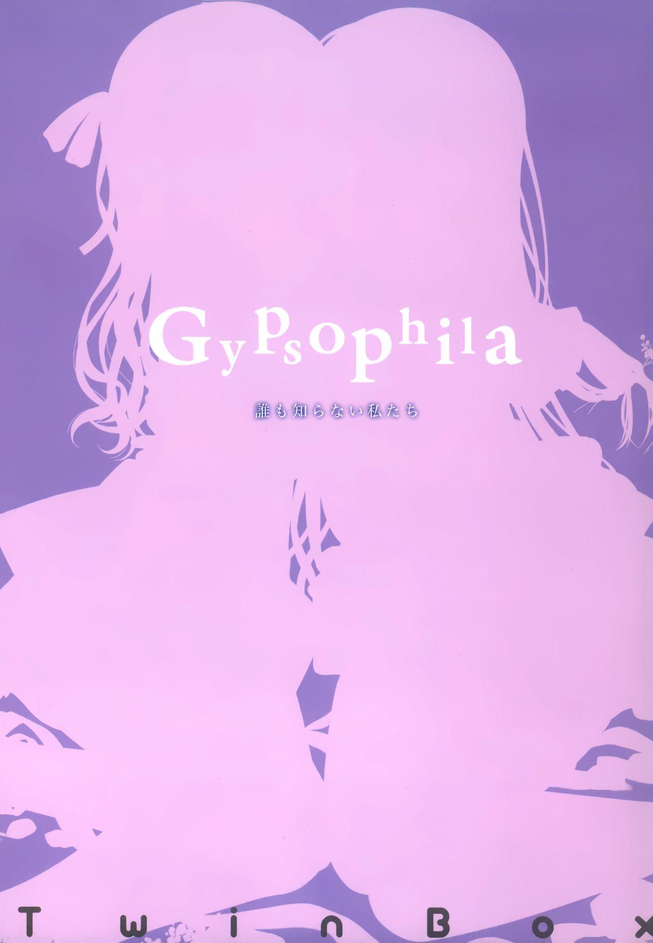 Gypsophila 1