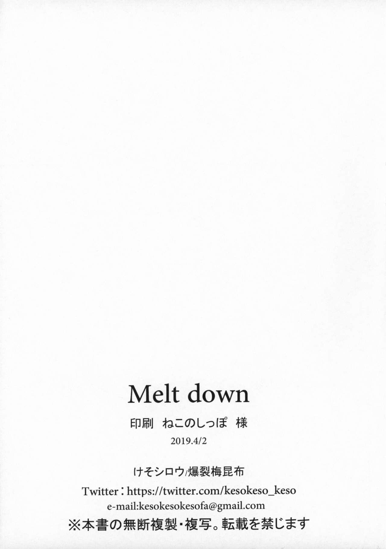 Melt down 19