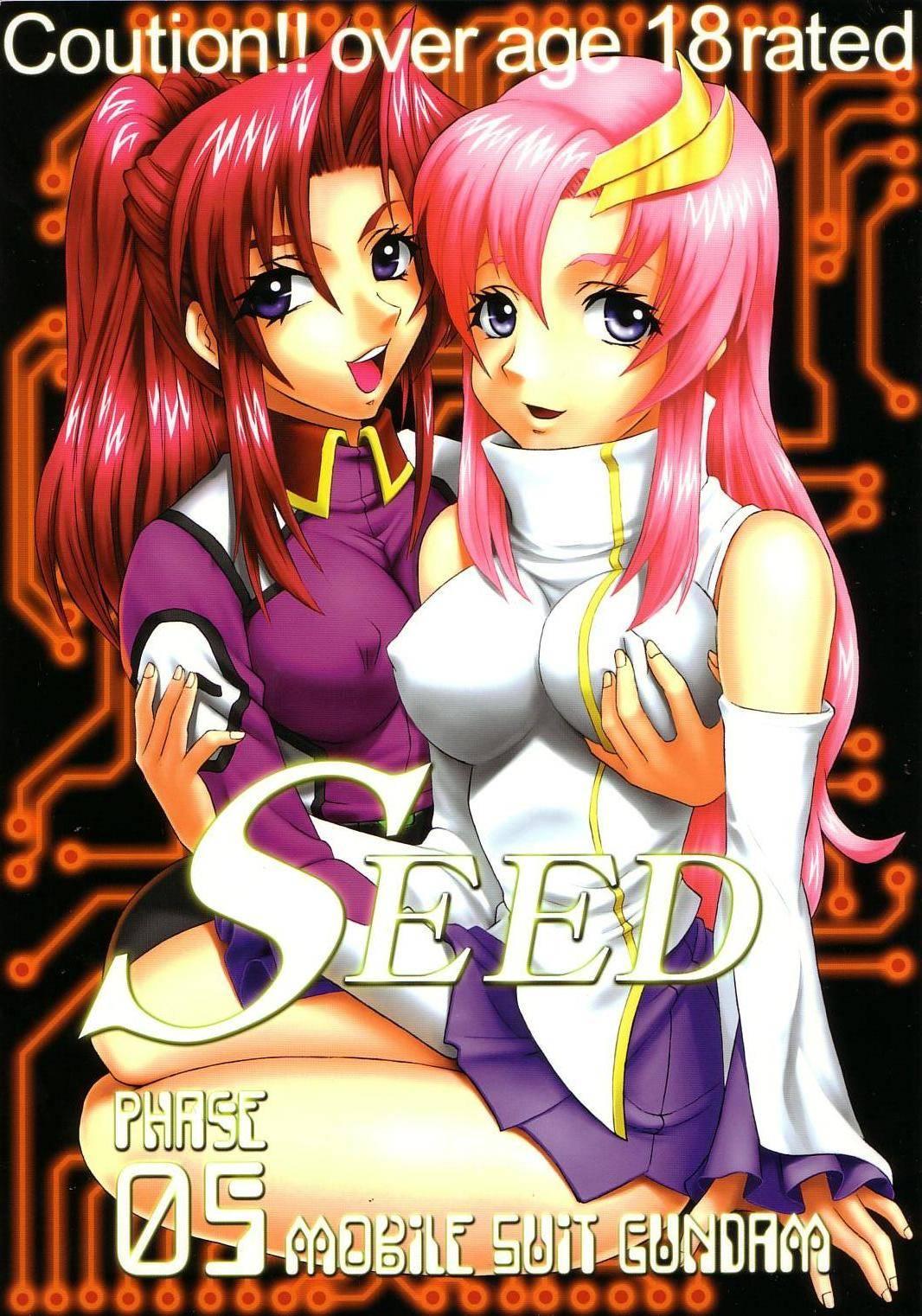 Gape SEED 5 - Gundam seed Gaypawn - Page 1