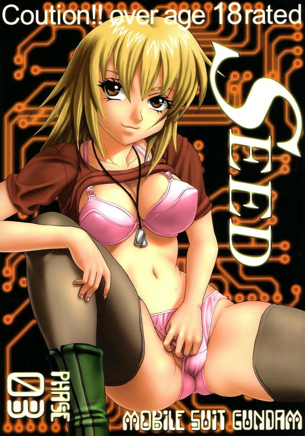 Audition SEED 3 - Gundam seed Milf - Picture 1