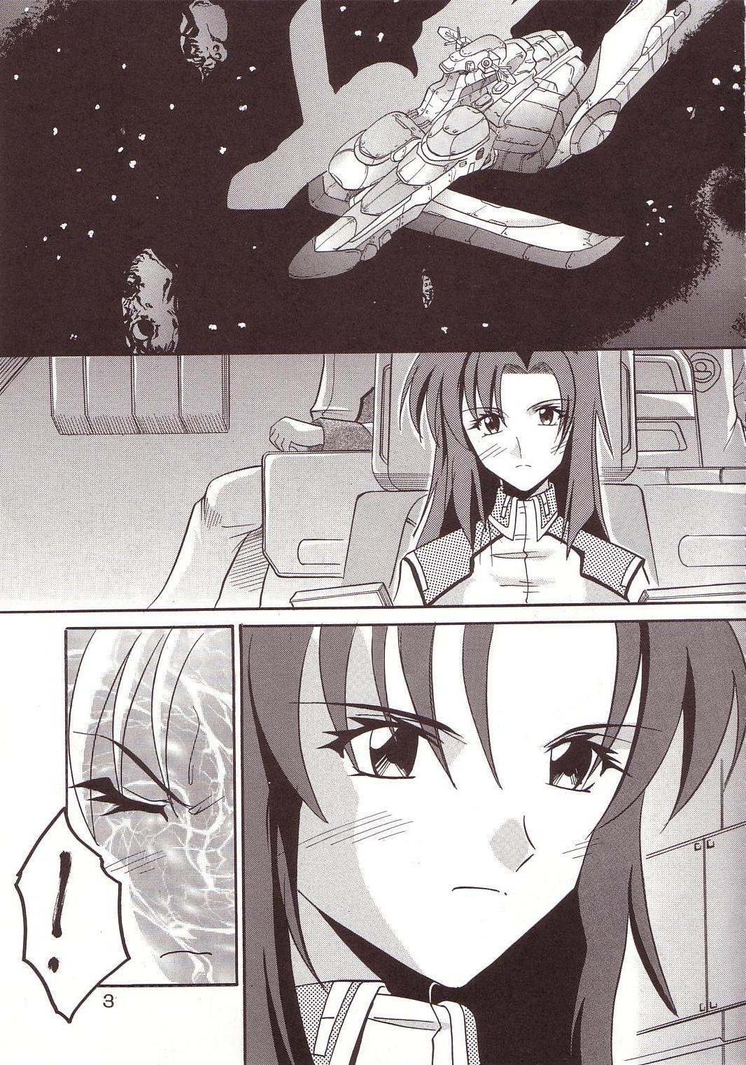 Gayhardcore SEED 3 - Gundam seed Scandal - Page 4