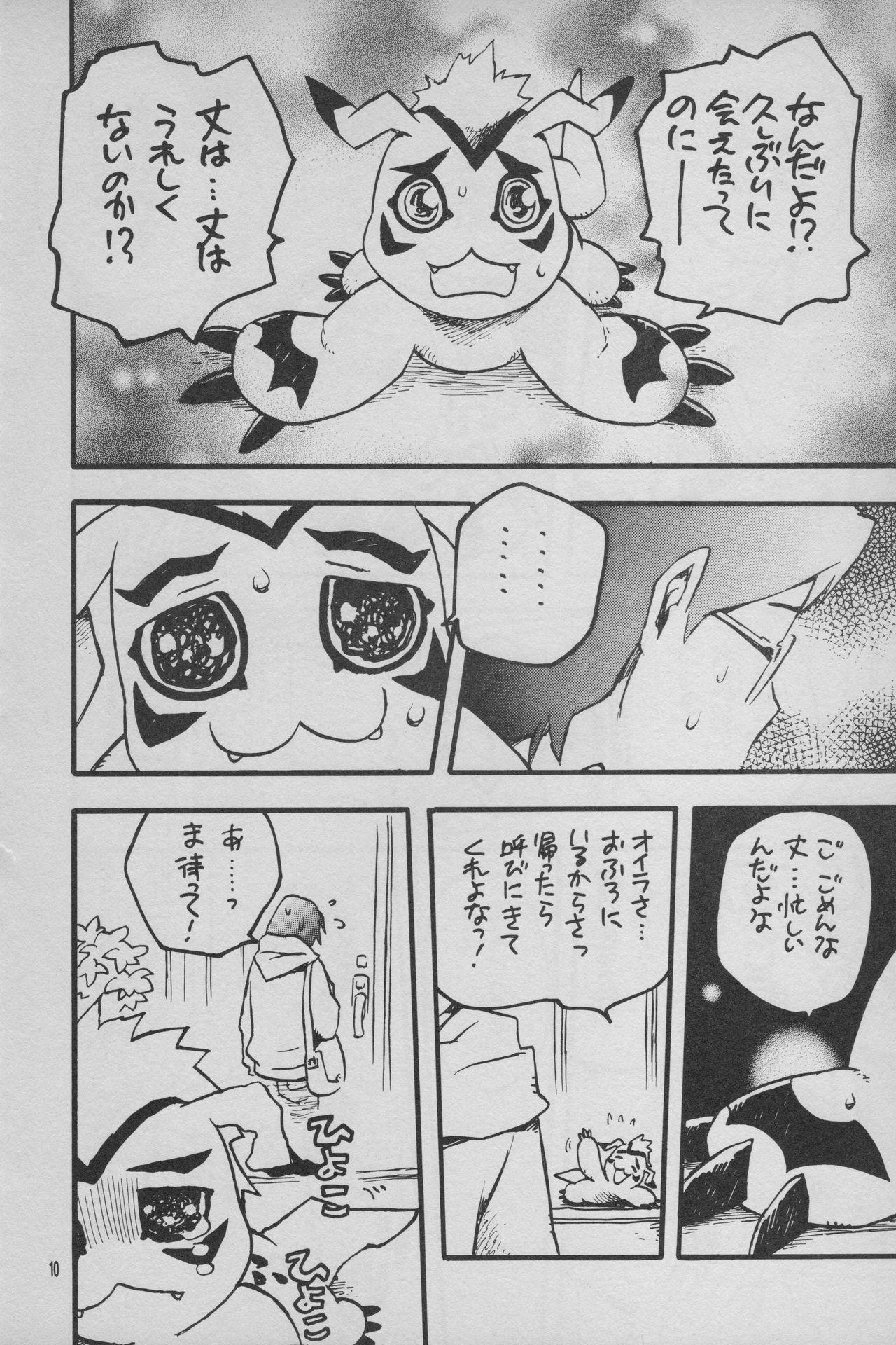 Digimon Bousou Ressha 10