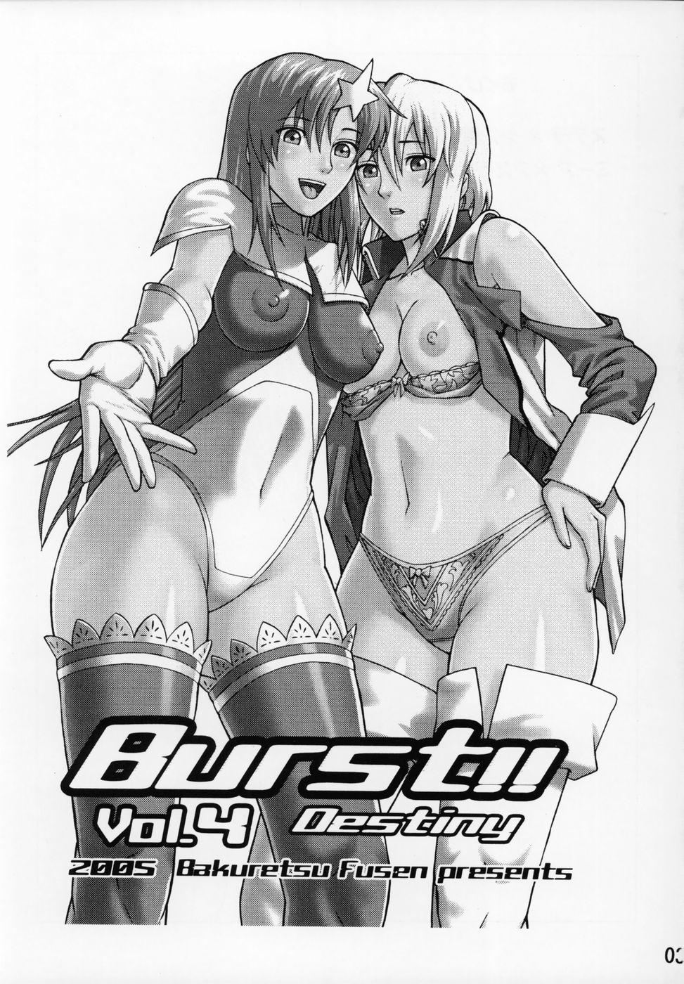 Shoes Burst!! Vol.4 - Gundam seed destiny Huge Boobs - Page 3