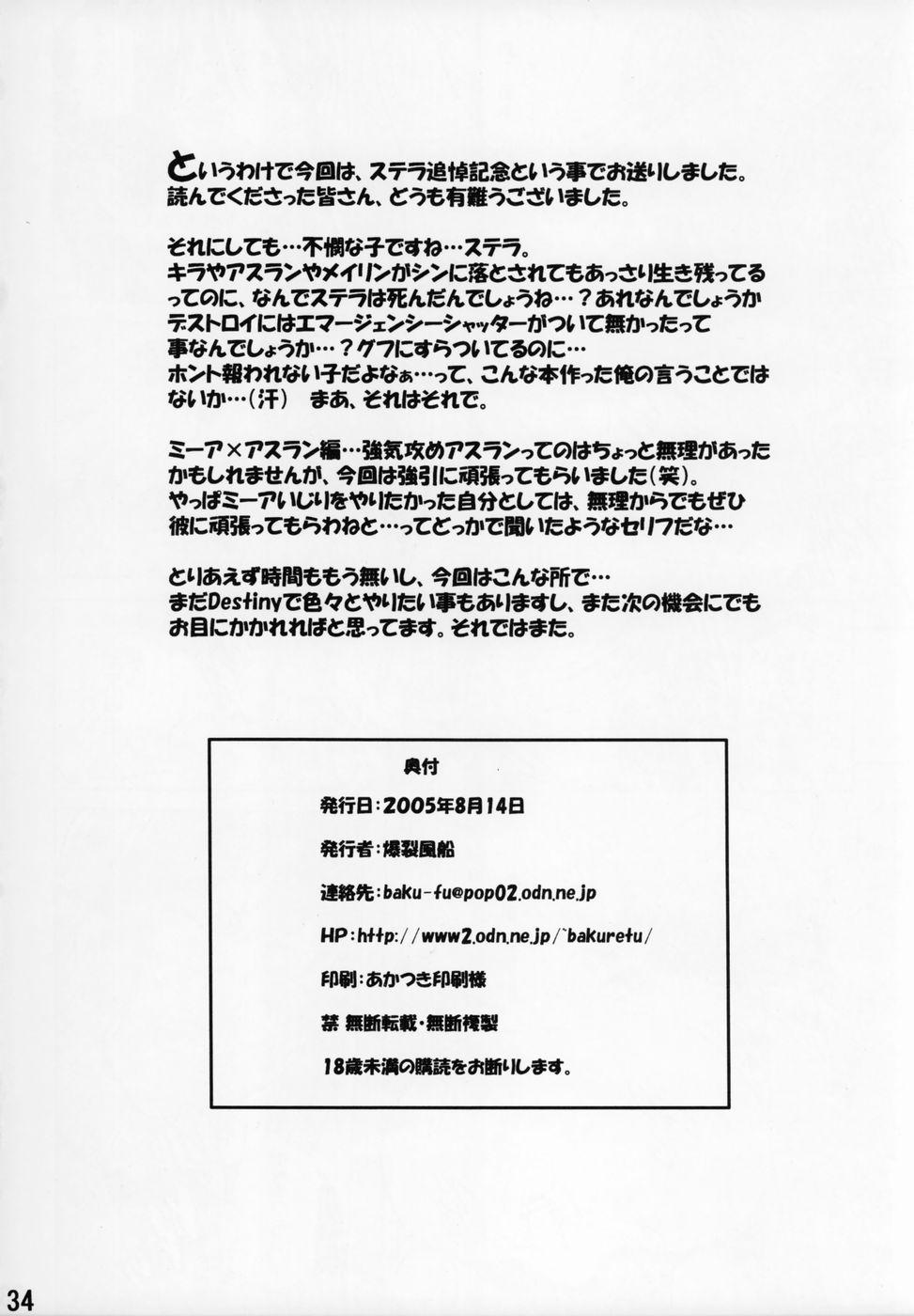 Chat Burst!! Vol.4 - Gundam seed destiny Boob - Page 34