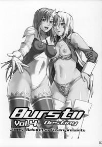 Mexican Burst!! Vol.4- Gundam seed destiny hentai Pain 3