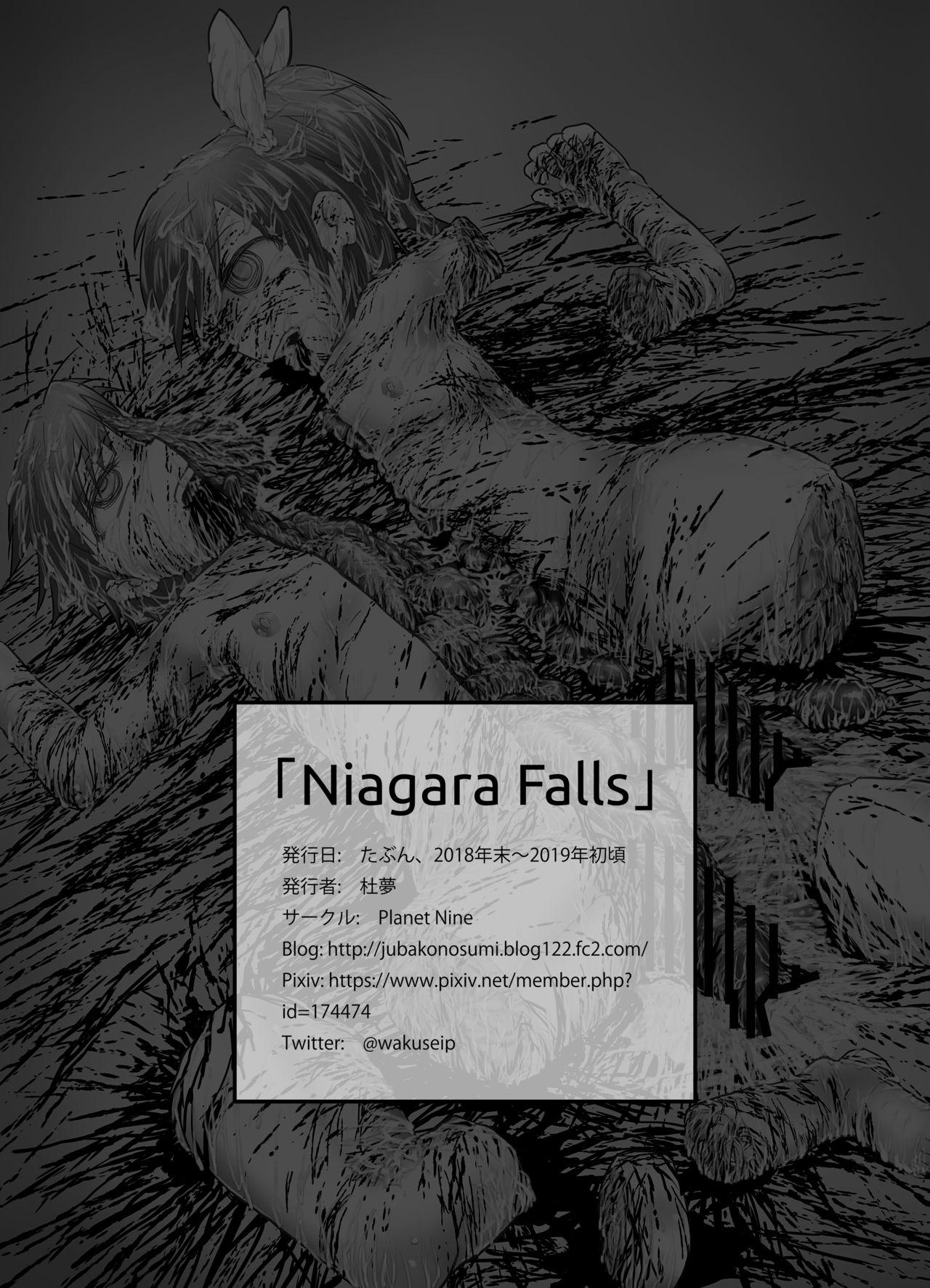 Niagara Falls 14