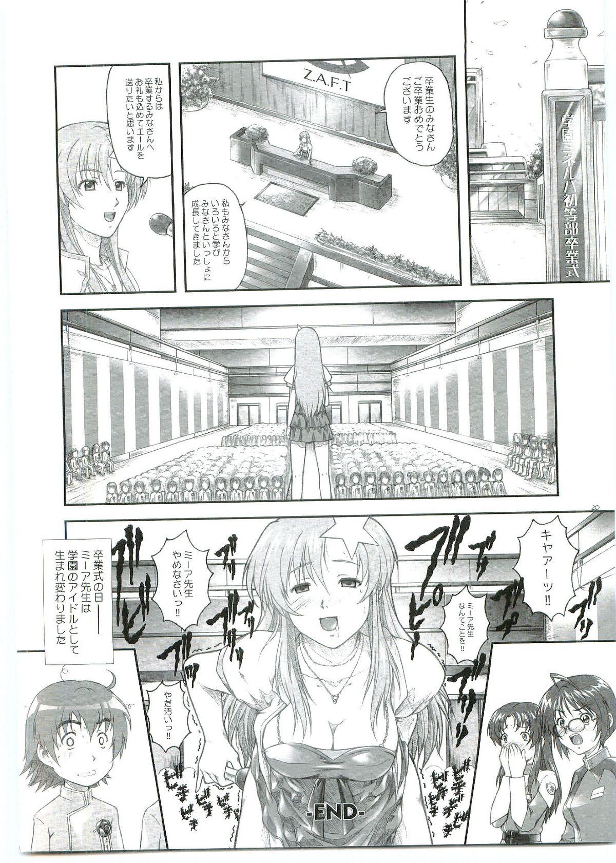 Male ...Shinai no? Meer Sensei - Gundam seed destiny Star - Page 20