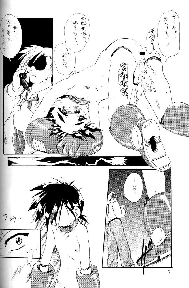 Groupsex Kanzen Nenshou Ver. 2.25 - Megaman Fuck Com - Page 13