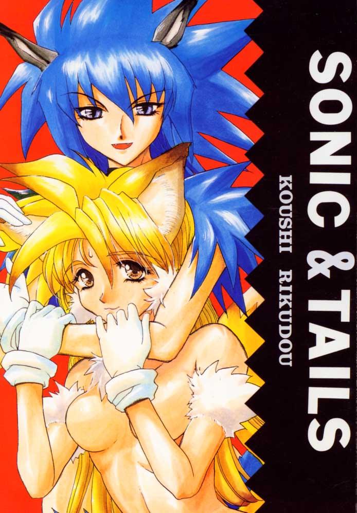 Booty Sonic & Tails - Samurai spirits Sonic the hedgehog Travesti - Picture 1