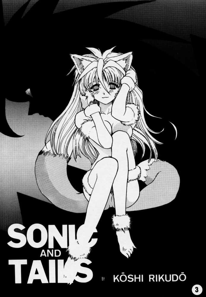 Sonic & Tails 1