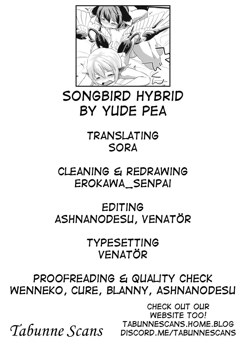 Yobukodori Hybrid | Songbird Hybrid 26