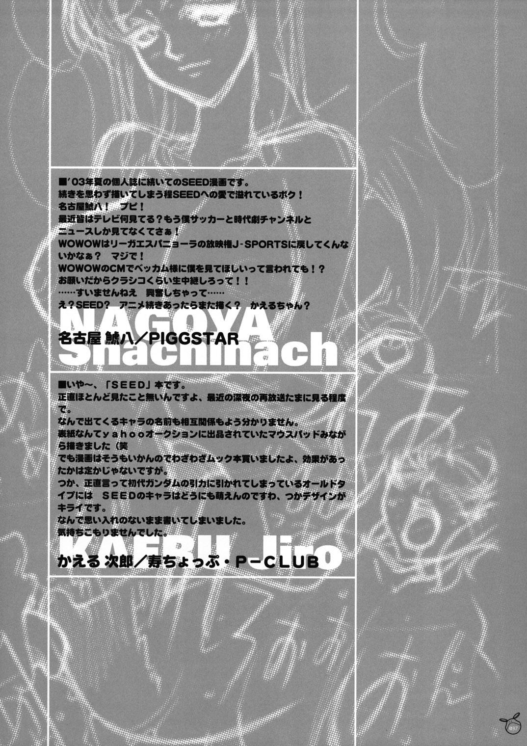 Play Psychotic Technique - Gundam seed Hardcore Porno - Page 34